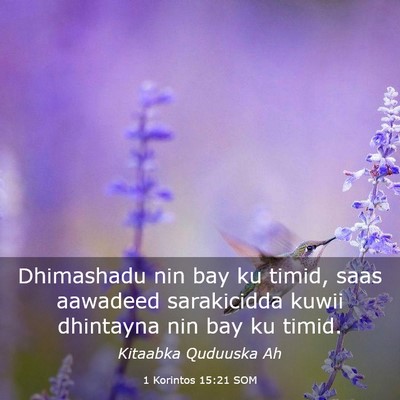 Picture 03 - 1 Korintos 15:21 SOM - Dhimashadu nin bay ku timid, saas aawadeed - Bible Verse Picture