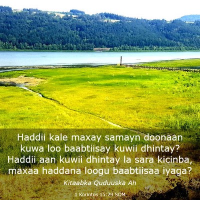 Picture 03 - 1 Korintos 15:29 SOM - Haddii kale maxay samayn doonaan kuwa loo - Bible Verse Picture