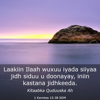 Picture 03 - 1 Korintos 15:38 SOM - Laakiin Ilaah wuxuu iyada siiyaa jidh siduu u - Bible Verse Picture