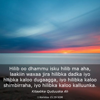 Picture 03 - 1 Korintos 15:39 SOM - Hilib oo dhammu isku hilib ma aha, laakiin waxaa - Bible Verse Picture