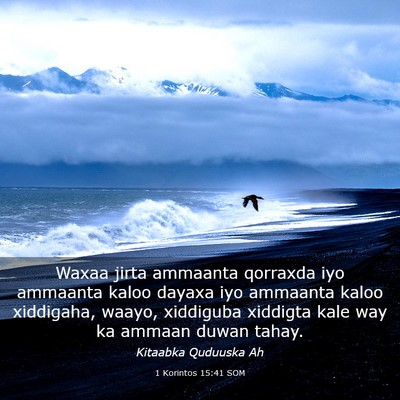 Picture 03 - 1 Korintos 15:41 SOM - Waxaa jirta ammaanta qorraxda iyo ammaanta kaloo - Bible Verse Picture