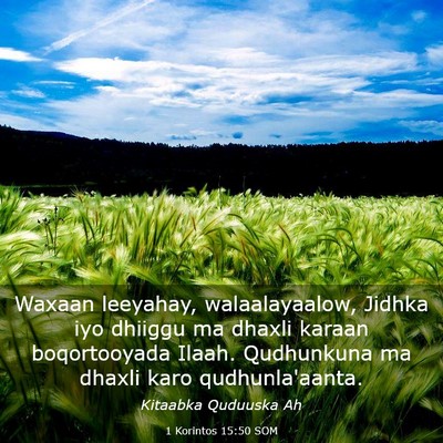 Picture 03 - 1 Korintos 15:50 SOM - Waxaan leeyahay, walaalayaalow, Jidhka iyo - Bible Verse Picture