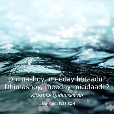 Picture 03 - 1 Korintos 15:55 SOM - Dhimashoy, meeday libtaadii? Dhimashoy, meeday - Bible Verse Picture