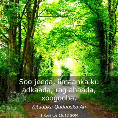 Picture 03 - 1 Korintos 16:13 SOM - Soo jeeda, iimaanka ku adkaada, rag ahaada, - Bible Verse Picture