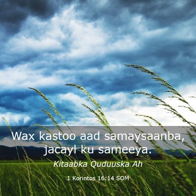 Picture 03 - 1 Korintos 16:14 SOM - Wax kastoo aad samaysaanba, jacayl ku - Bible Verse Picture