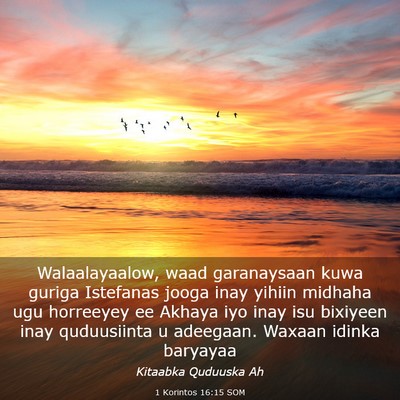 Picture 03 - 1 Korintos 16:15 SOM - Walaalayaalow, waad garanaysaan kuwa guriga - Bible Verse Picture