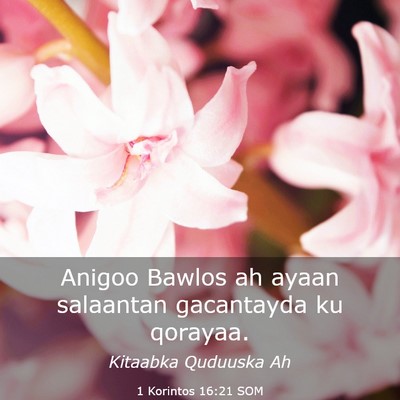 Picture 03 - 1 Korintos 16:21 SOM - Anigoo Bawlos ah ayaan salaantan gacantayda ku - Bible Verse Picture