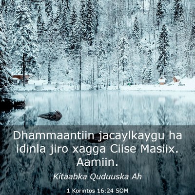 Picture 03 - 1 Korintos 16:24 SOM - Dhammaantiin jacaylkaygu ha idinla jiro xagga - Bible Verse Picture