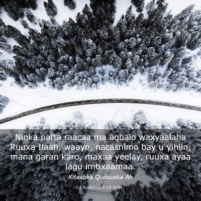 Picture 03 - 1 Korintos 2:14 SOM - Ninka nafta raacaa ma aqbalo waxyaalaha Ruuxa - Bible Verse Picture