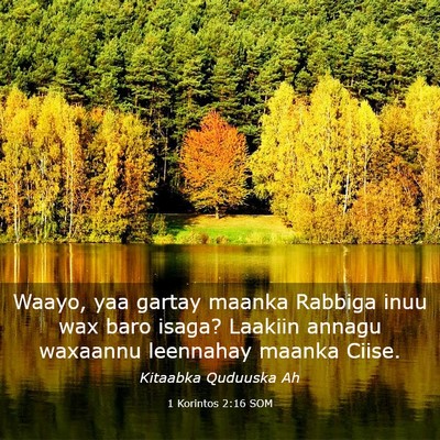 Picture 03 - 1 Korintos 2:16 SOM - Waayo, yaa gartay maanka Rabbiga inuu wax baro - Bible Verse Picture