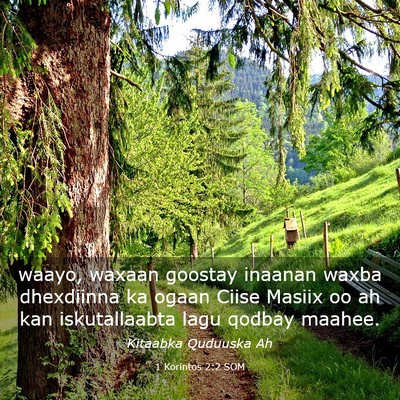 Picture 03 - 1 Korintos 2:2 SOM - waayo, waxaan goostay inaanan waxba dhexdiinna ka - Bible Verse Picture