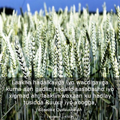 Picture 03 - 1 Korintos 2:4 SOM - Laakiin hadalkayga iyo wacdigayga kuma aan hadlin - Bible Verse Picture