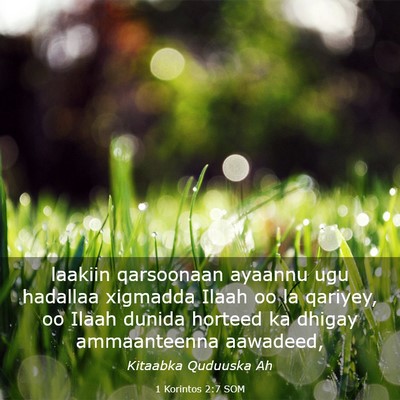 Picture 03 - 1 Korintos 2:7 SOM - laakiin qarsoonaan ayaannu ugu hadallaa xigmadda - Bible Verse Picture