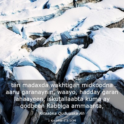 Picture 03 - 1 Korintos 2:8 SOM - tan madaxda wakhtigan midkoodna aanu garanaynin, - Bible Verse Picture