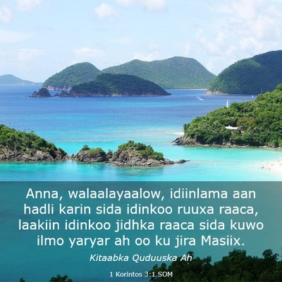 Picture 03 - 1 Korintos 3:1 SOM - Anna, walaalayaalow, idiinlama aan hadli karin - Bible Verse Picture