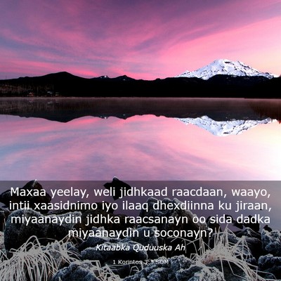 Picture 03 - 1 Korintos 3:3 SOM - Maxaa yeelay, weli jidhkaad raacdaan, waayo, - Bible Verse Picture