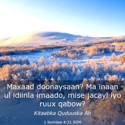 Picture 03 - 1 Korintos 4:21 SOM - Maxaad doonaysaan? Ma inaan ul idiinla imaado, - Bible Verse Picture