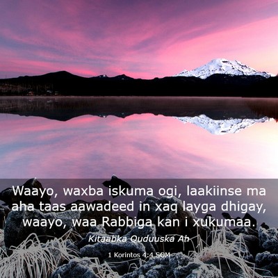 Picture 03 - 1 Korintos 4:4 SOM - Waayo, waxba iskuma ogi, laakiinse ma aha taas - Bible Verse Picture