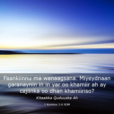 Picture 03 - 1 Korintos 5:6 SOM - Faankiinnu ma wanaagsana. Miyeydnaan garanaynin - Bible Verse Picture