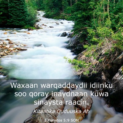 Picture 03 - 1 Korintos 5:9 SOM - Waxaan warqaddaydii idiinku soo qoray inaydnaan - Bible Verse Picture