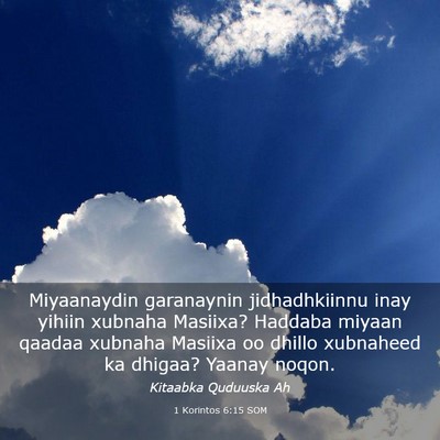 Picture 03 - 1 Korintos 6:15 SOM - Miyaanaydin garanaynin jidhadhkiinnu inay yihiin - Bible Verse Picture