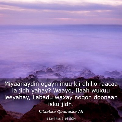 Picture 03 - 1 Korintos 6:16 SOM - Miyaanaydin ogayn inuu kii dhillo raacaa la jidh - Bible Verse Picture