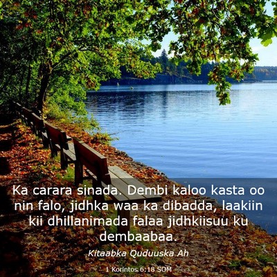 Picture 03 - 1 Korintos 6:18 SOM - Ka carara sinada. Dembi kaloo kasta oo nin falo, - Bible Verse Picture