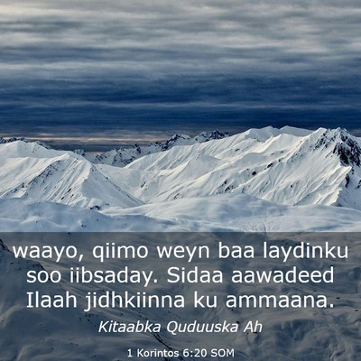 Picture 03 - 1 Korintos 6:20 SOM - waayo, qiimo weyn baa laydinku soo iibsaday. - Bible Verse Picture