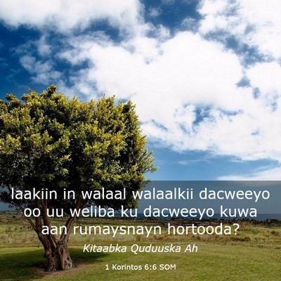 Picture 03 - 1 Korintos 6:6 SOM - laakiin in walaal walaalkii dacweeyo oo uu weliba - Bible Verse Picture