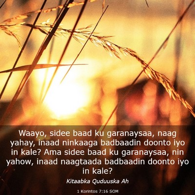 Picture 03 - 1 Korintos 7:16 SOM - Waayo, sidee baad ku garanaysaa, naag yahay, - Bible Verse Picture