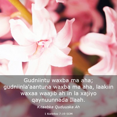 Picture 03 - 1 Korintos 7:19 SOM - Gudniintu waxba ma aha; gudniinla'aantuna waxba - Bible Verse Picture