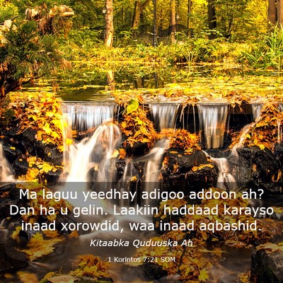 Picture 03 - 1 Korintos 7:21 SOM - Ma laguu yeedhay adigoo addoon ah? Dan ha u - Bible Verse Picture