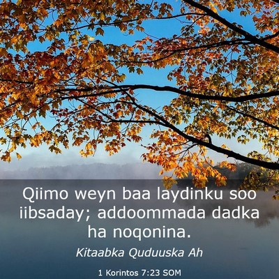Picture 03 - 1 Korintos 7:23 SOM - Qiimo weyn baa laydinku soo iibsaday; addoommada - Bible Verse Picture