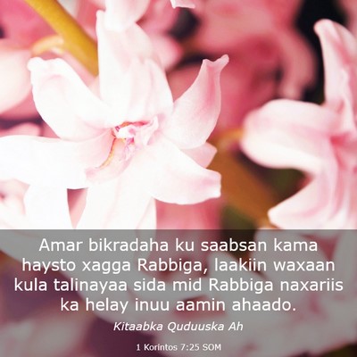 Picture 03 - 1 Korintos 7:25 SOM - Amar bikradaha ku saabsan kama haysto xagga - Bible Verse Picture