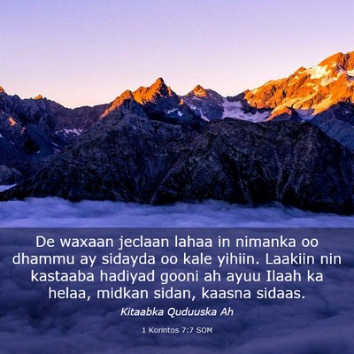 Picture 03 - 1 Korintos 7:7 SOM - De waxaan jeclaan lahaa in nimanka oo dhammu ay - Bible Verse Picture