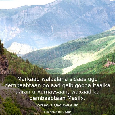Picture 03 - 1 Korintos 8:12 SOM - Markaad walaalaha sidaas ugu dembaabtaan oo aad - Bible Verse Picture