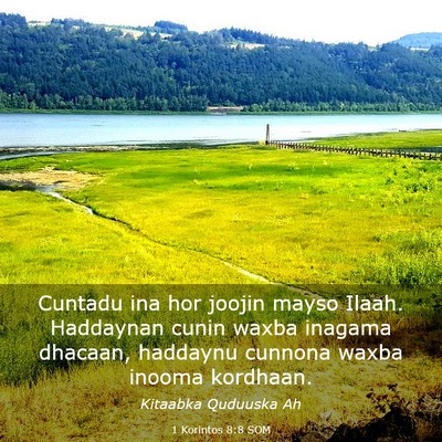 Picture 03 - 1 Korintos 8:8 SOM - Cuntadu ina hor joojin mayso Ilaah. Haddaynan - Bible Verse Picture