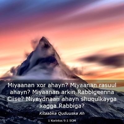 Picture 03 - 1 Korintos 9:1 SOM - Miyaanan xor ahayn? Miyaanan rasuul ahayn? - Bible Verse Picture