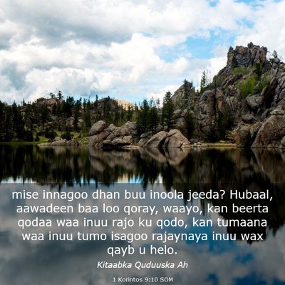 Picture 03 - 1 Korintos 9:10 SOM - mise innagoo dhan buu inoola jeeda? Hubaal, - Bible Verse Picture