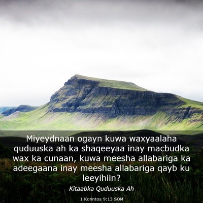 Picture 03 - 1 Korintos 9:13 SOM - Miyeydnaan ogayn kuwa waxyaalaha quduuska ah ka - Bible Verse Picture