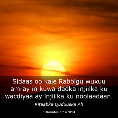 Picture 03 - 1 Korintos 9:14 SOM - Sidaas oo kale Rabbigu wuxuu amray in kuwa dadka - Bible Verse Picture
