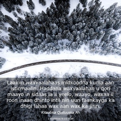 Picture 03 - 1 Korintos 9:15 SOM - Laakiin waxyaalahaas midkoodna kuma aan - Bible Verse Picture