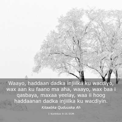 Picture 03 - 1 Korintos 9:16 SOM - Waayo, haddaan dadka injiilka ku wacdiyo, wax aan - Bible Verse Picture