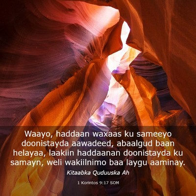 Picture 03 - 1 Korintos 9:17 SOM - Waayo, haddaan waxaas ku sameeyo doonistayda - Bible Verse Picture