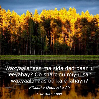 Picture 03 - 1 Korintos 9:8 SOM - Waxyaalahaas ma sida dad baan u leeyahay? Oo - Bible Verse Picture