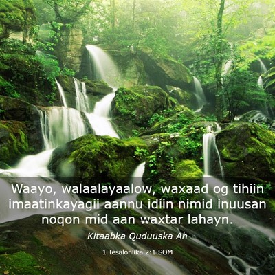 Picture 03 - 1 Tesaloniika 2:1 SOM - Waayo, walaalayaalow, waxaad og tihiin - Bible Verse Picture