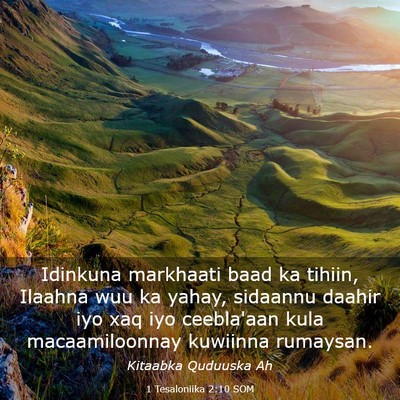 Picture 03 - 1 Tesaloniika 2:10 SOM - Idinkuna markhaati baad ka tihiin, Ilaahna wuu ka - Bible Verse Picture