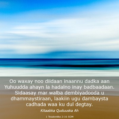 Picture 03 - 1 Tesaloniika 2:16 SOM - Oo waxay noo diidaan inaannu dadka aan Yuhuudda - Bible Verse Picture