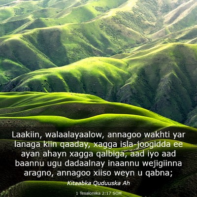 Picture 03 - 1 Tesaloniika 2:17 SOM - Laakiin, walaalayaalow, annagoo wakhti yar lanaga - Bible Verse Picture