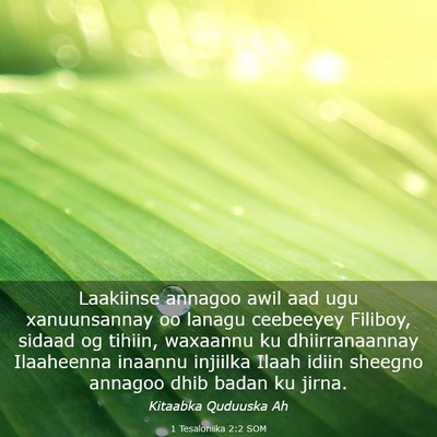 Picture 03 - 1 Tesaloniika 2:2 SOM - Laakiinse annagoo awil aad ugu xanuunsannay oo - Bible Verse Picture